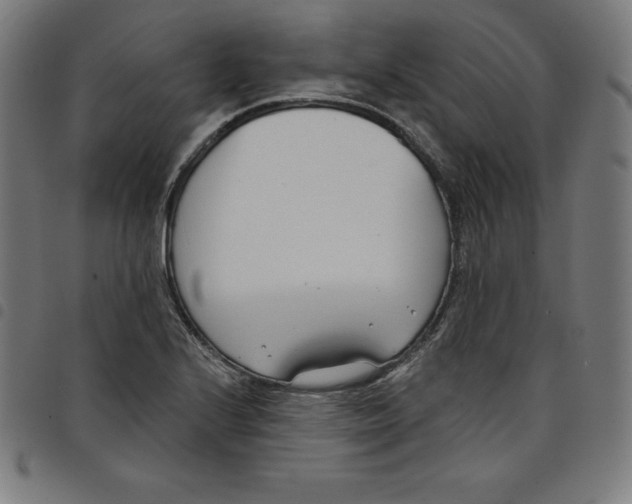 X0000098051224200804251055