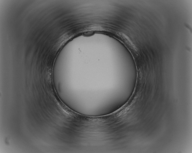 X0000098051225200804251055