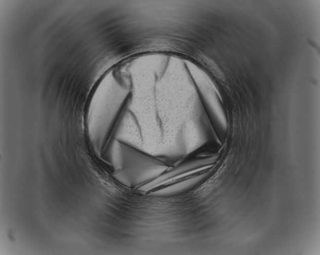 X0000098051226200804251055