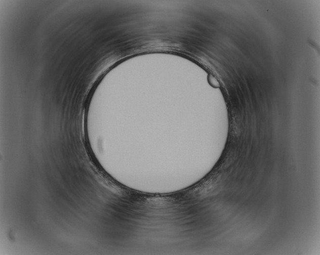 X0000098051227200804251055