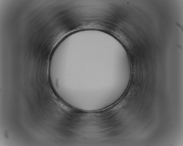 X0000098051228200804251055