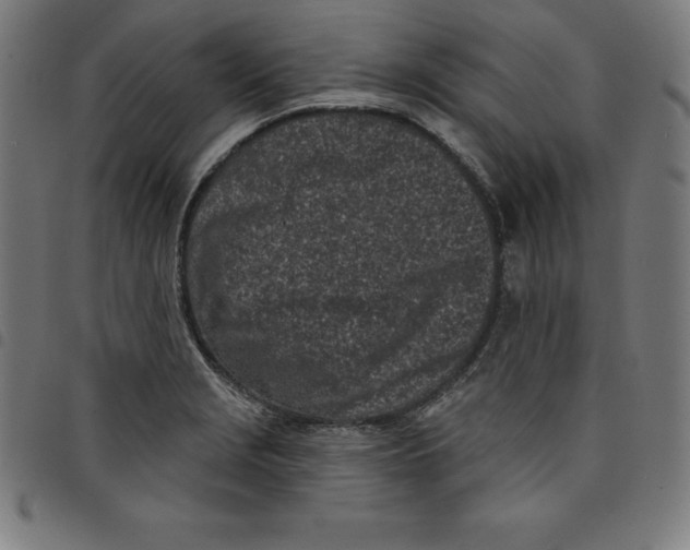 X0000098051229200804251055