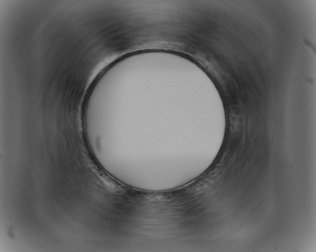 X0000098051230200804251055