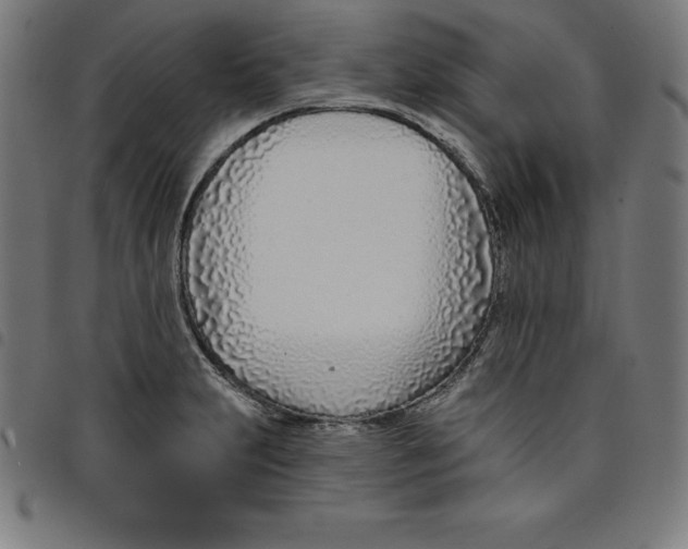 X0000098051231200804251055