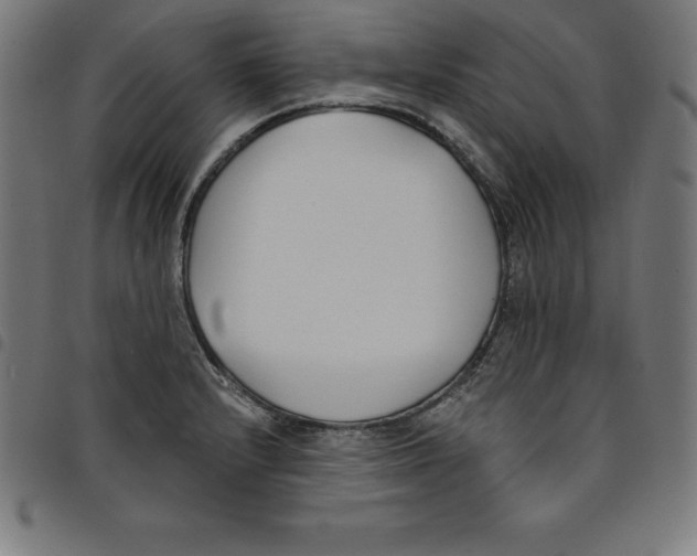 X0000098051232200804251055