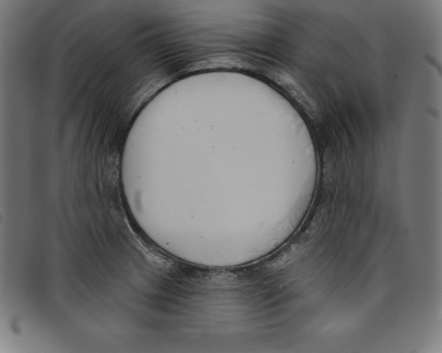 X0000098051233200804251055