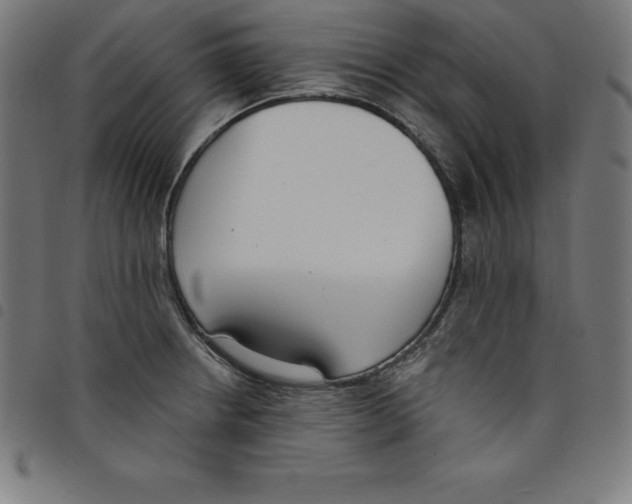 X0000098051234200804251055