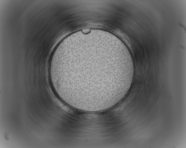 X0000098051235200804251055