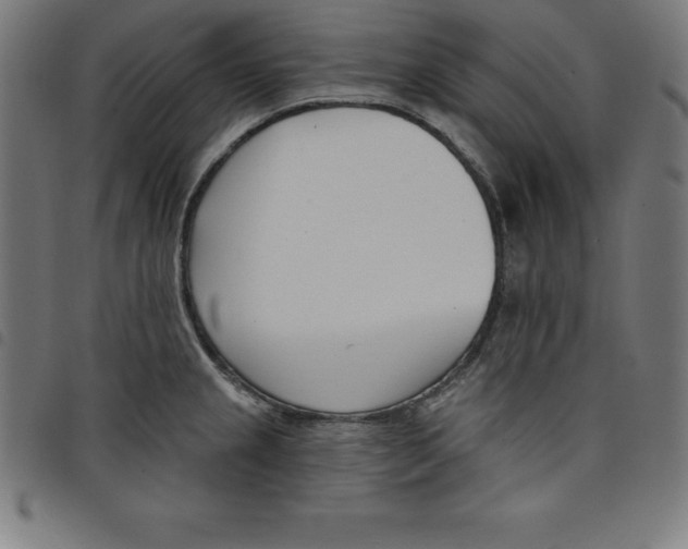 X0000098051237200804251056