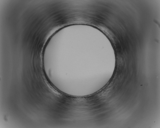 X0000098051238200804251056