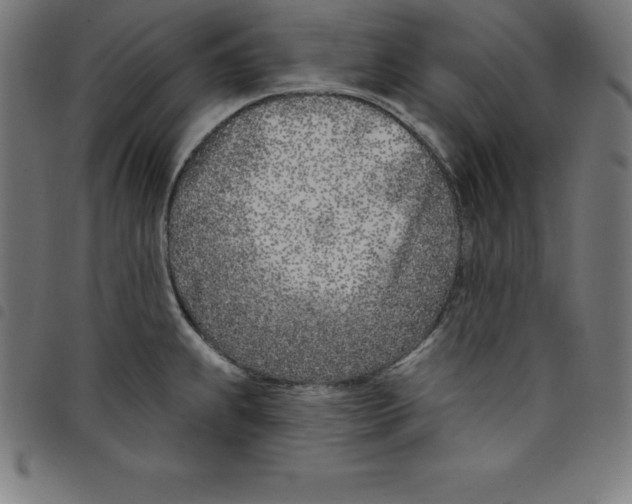 X0000098051239200804251056