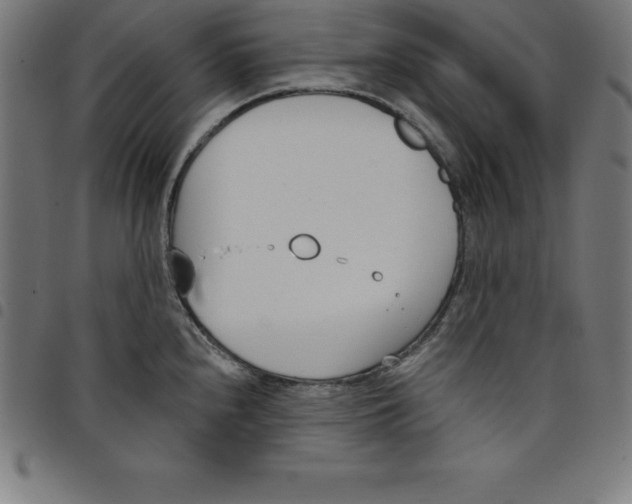 X0000098051240200804251056