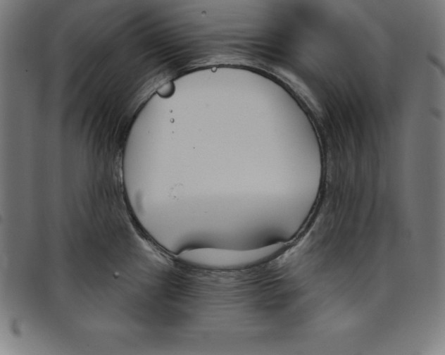 X0000098051241200804251056