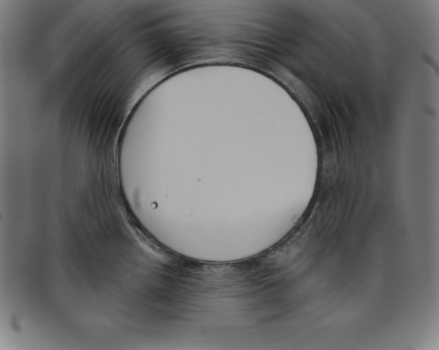 X0000098051242200804251056