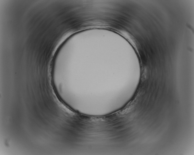 X0000098051243200804251056