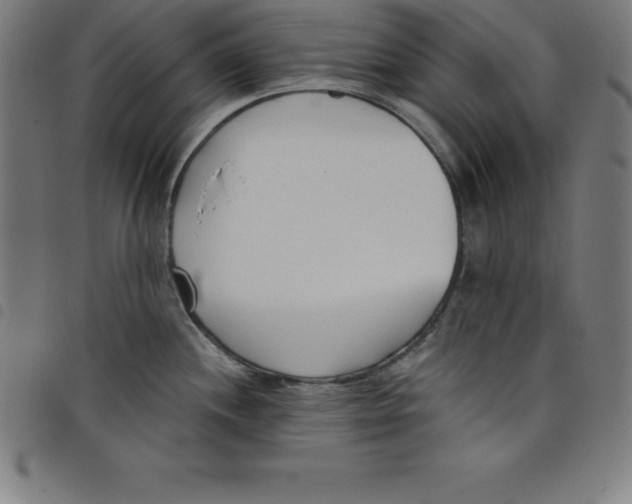 X0000098051244200804251056