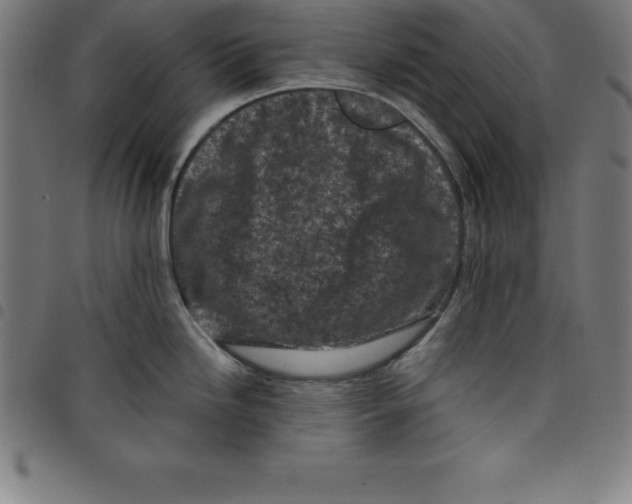 X0000098051246200804251056