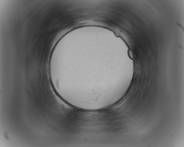 X0000098051247200804251056