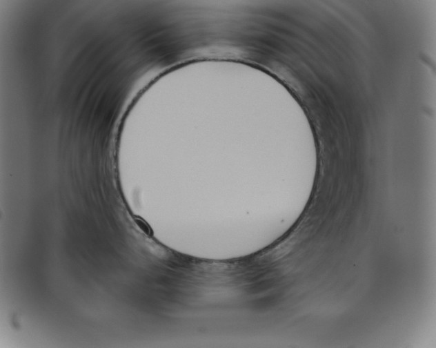 X0000098051248200804251056