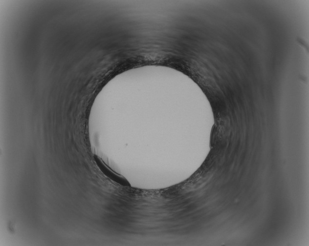 X0000098051249200804251055