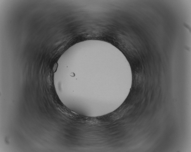 X0000098051250200804251055