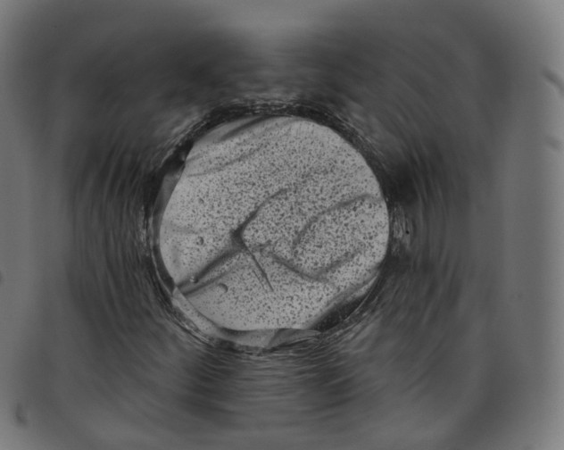 X0000098051252200804251055