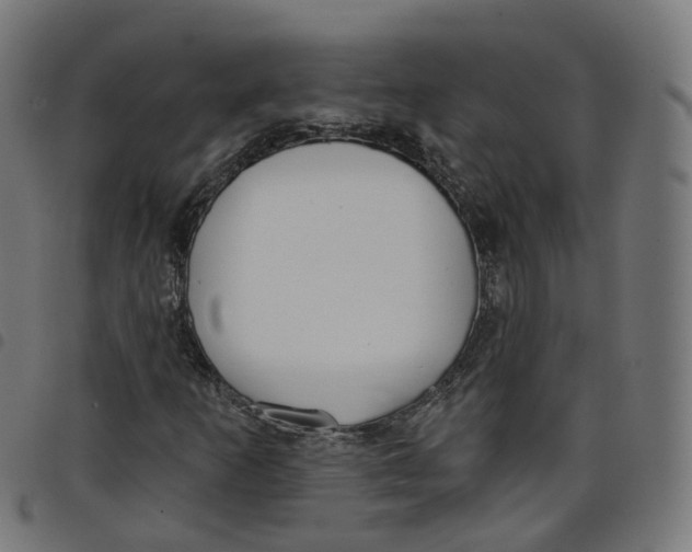 X0000098051253200804251055