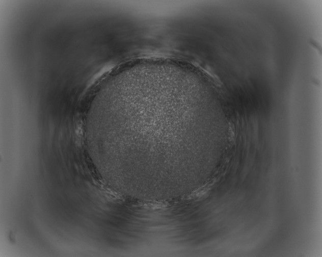 X0000098051254200804251055