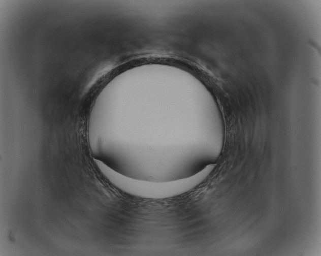 X0000098051255200804251055