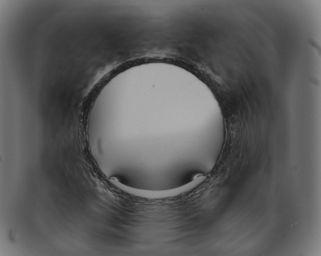 X0000098051256200804251055