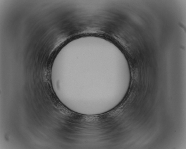 X0000098051258200804251055