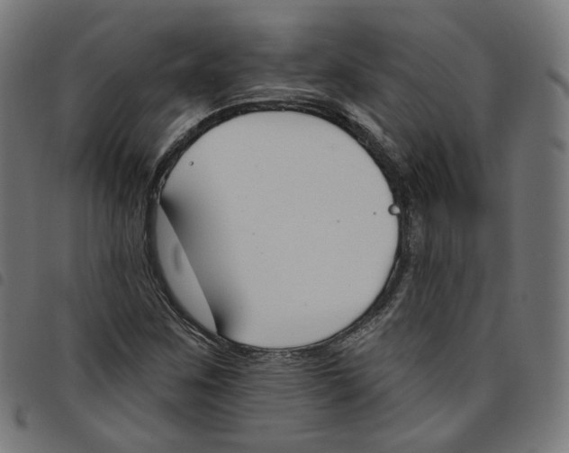 X0000098051259200804251055