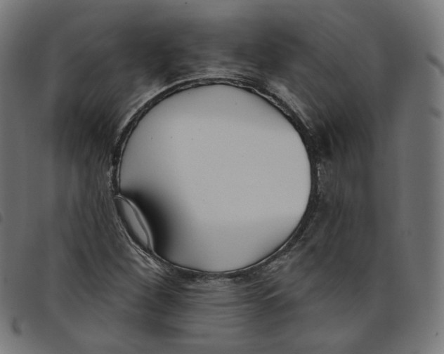 X0000098051260200804251055