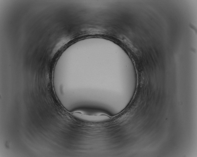 X0000098051261200804251055