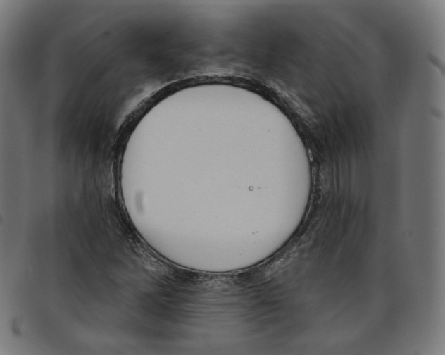 X0000098051262200804251055