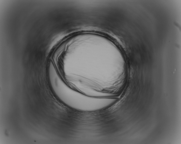 X0000098051263200804251055