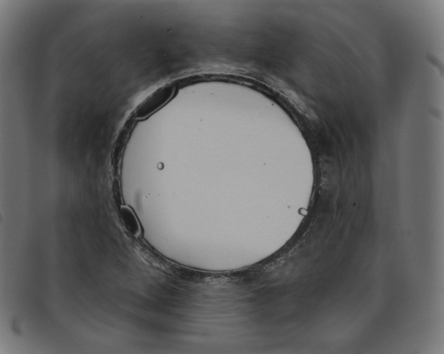 X0000098051264200804251055