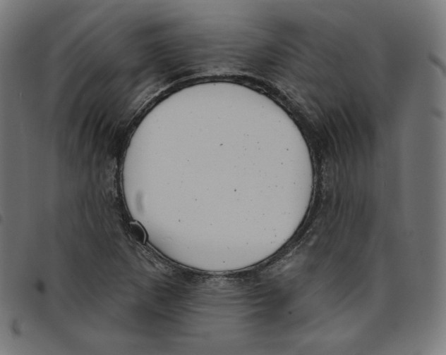 X0000098051265200804251055