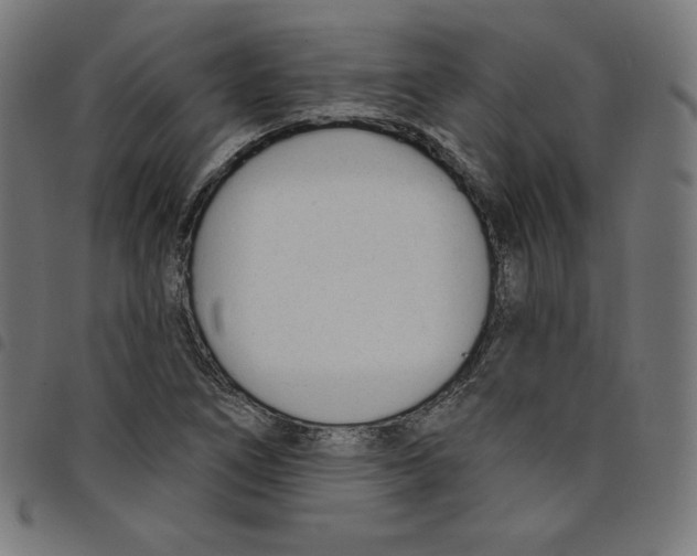 X0000098051266200804251055