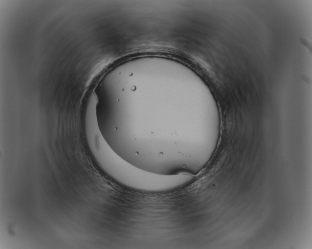 X0000098051267200804251055