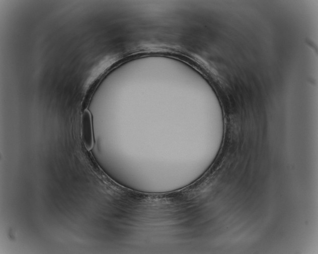 X0000098051269200804251055