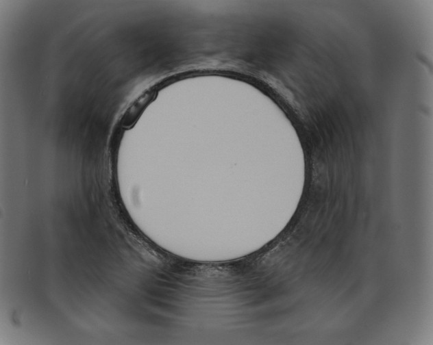 X0000098051270200804251055