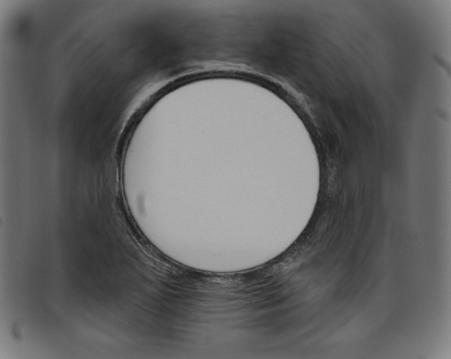 X0000098051271200804251055