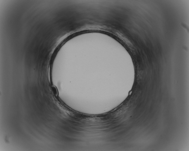 X0000098051272200804251055