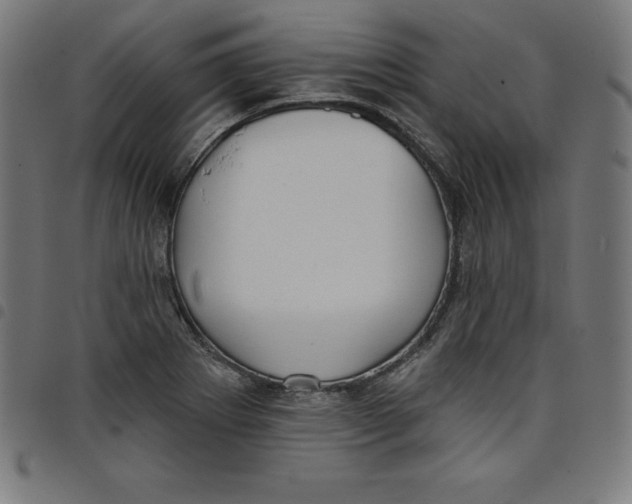 X0000098051273200804251055