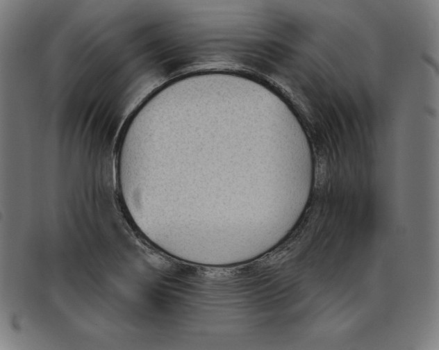 X0000098051274200804251055