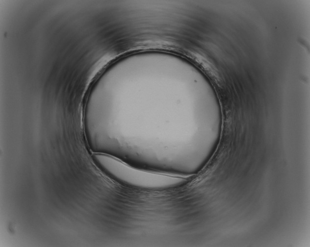 X0000098051275200804251055