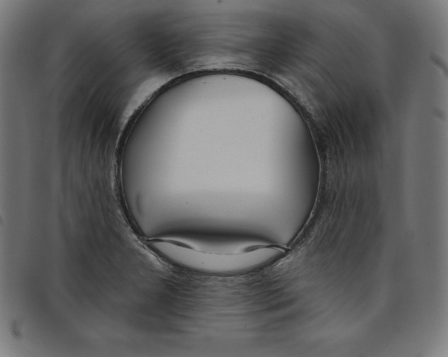 X0000098051277200804251055