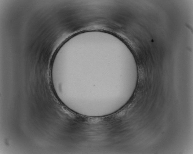 X0000098051278200804251055