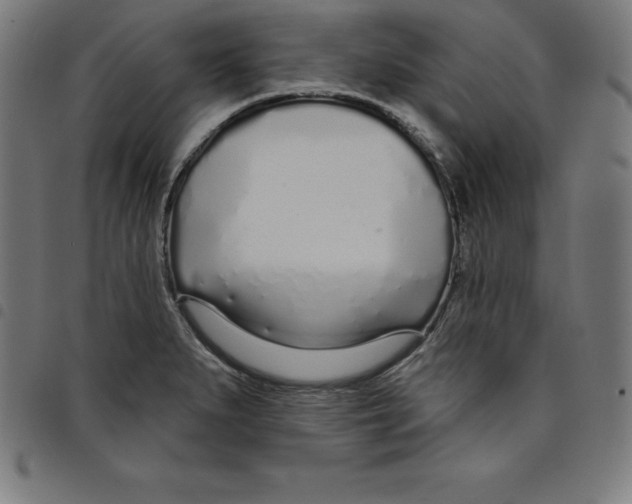 X0000098051279200804251054